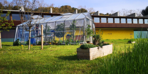 Així és el nou papallonari de l’Institut Botànic de Barcelona