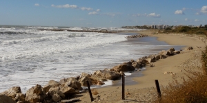 L’Ajuntament de Tarragona presenta un estudi de diagnosi i pla de gestió i recuperació de la platja Llarga