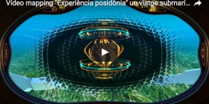Experiència posidònia