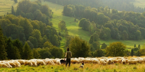 Atles del món rural 2022: Despoblament o revitalització?