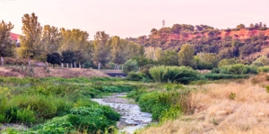 El Programa d’actuacions del parc fluvial del Ripoll planteja una segona gran actuació estratègica per transformar el riu i el seu entorn