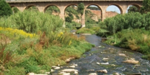 EL PARC FLUVIAL DEL RIPOLL: descobreix el riu