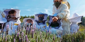 Roques Blanques acull el primer apiari didàctic en un cementiri