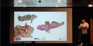 Nova capa de peixos del Atles de Biodiversitat de l'Ajuntament de Barcelona