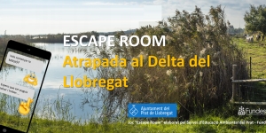 Atrapada al Delta del Llobregat