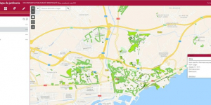La ciutat de Tarragona compta amb més de 150 zones verdes i 49 espècies