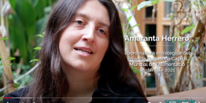 Amaranta Herrero: “El mercats de Barcelona tenen 60 milions de visites a l’any. Tenen un potencial de transformació molt gran”