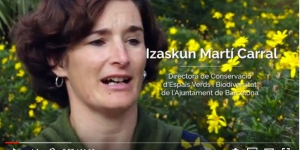 Izaskun Martí: “La ciutadania ha entès que naturalitzar no és descuidar els espais verds”