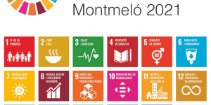 Montmeló ja té els resultats dels pressupostos participatius de 2021 pel desenvolupament sostenible