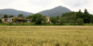 BCN Smart Rural, un projecte per impulsar el desenvolupament territorial amb estratègies innovadores