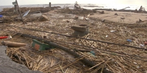 Clam per una gestió natural del litoral per evitar els efectes de temporals com el Gloria