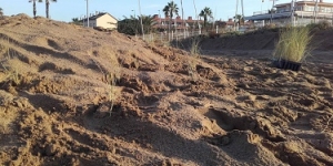 Castelldefels recupera el seu front dunar
