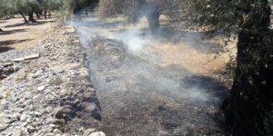 La Generalitat suspendrà les cremes controlades en situacions d'alta contaminació ambiental