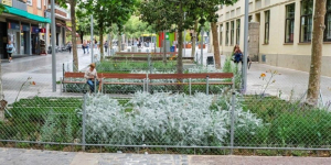 Cornellà de Llobregat continua renaturalitzant-se