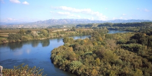 El pesticida Lindà segueix present en sòls i rius de la majoria de comunitats autònomes