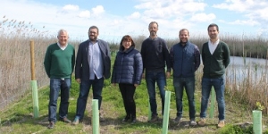 Es planten 6.855 plantes de ribera per recuperar els boscs de ribera a l’illa de Mallorca