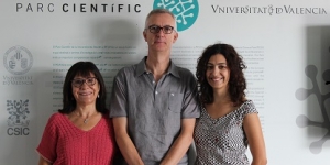 Investiguen a l’Albufera bacteris que poden eliminar compostos tòxics i contaminants de forma controlada