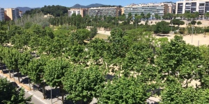 Re-Natura Mataró s'obre a la participació ciutadana