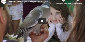 Més de 1.400 persones identifiquen 120 espècies diferents a la 2a edició del BioBlitz Metropolità