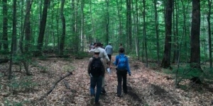 Un estudi proposa una gestió del bosc enfocada a diversificar els trets característics de les espècies que el conformen