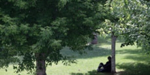 La UAB, al capdavant de les universitats de l’Estat al rànquing mundial GreenMetric