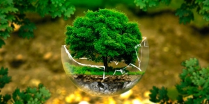 La descarbonització i la neutralitat climàtica ja tenen data: el 2050