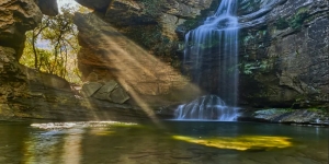 Nou impuls a la creació de l'Agència de Patrimoni Natural i la Biodiversitat