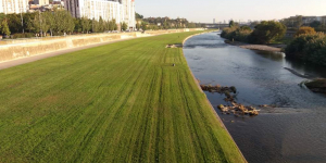 Impuls per la millora ambiental del riu Besòs