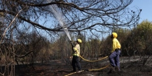 L'Ajuntament de Sant Cugat avalua l'impacte del canvi climàtic a la població