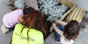 Entitats i escoles de l'Eixample, Sant Martí i Ciutat Vella participen en la plantació d'escocells