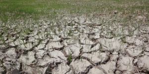 Sequeres sense precedents en 2000 anys a Europa pel canvi climàtic