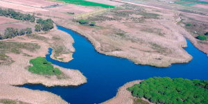 El futur del Delta del Llobregat