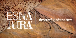 El Govern aprova les línies bàsiques que han d’orientar l’Estratègia del patrimoni natural i la biodiversitat de Catalunya