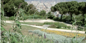 El Pla Natura de Barcelona comença a caminar