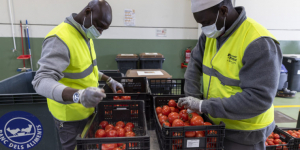 Foodback, el centre d’aprofitament alimentari de Mercabarna