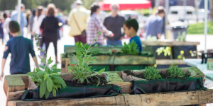 Mollet celebra la ‘Festa Verda i de la Biodiversitat’