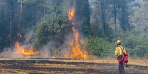 La Diputació de Barcelona reforça l’acord amb les ADF per la prevenció d'incendis forestals