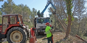 La Diputació de Barcelona destina prop de 7 M € en actuacions de prevenció d’incendis forestals en el conjunt de la demarcació