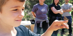 Ocells, papallones i flora a la bioblitz d'Osona