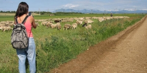 El pasturisme, nova modalitat de turisme sostenible i vivencial a les comarques gironines