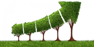 Cal decreixement econòmic per combatre la crisi climàtica, segons un estudi