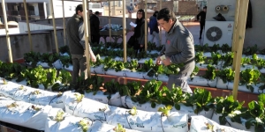 Premi europeu al projecte "L'hort al terrat"