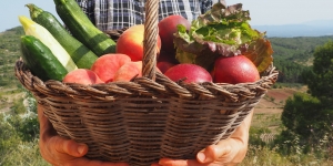 Dunia llança una nova tanda de campanyes de microfinançament agroecològic