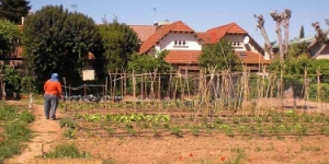 Sant Cugat posa en marxa el programa ‘Cultiva’t’ per afavorir la transformació de solars en horts urbans