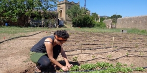 Renovació dels horts socials i ecològics de Montblanc