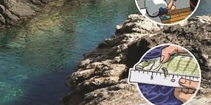 Roses inicia una campanya de conscienciació sobre pesca recreativa responsable amb el medi ambient