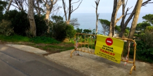 Tala de pins i alzines a la cala Sa Riera de Begur per construir-hi cases de luxe