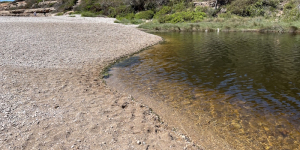 El període de vacances és el més perillós per als ecosistemes d'aigua dolça a causa de l'abandonament de mascotes