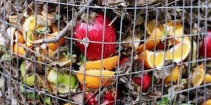 La Generalitat enllesteix el Pla d'acció de prevenció del malbaratament alimentari a Catalunya, amb 133 projectes en dos anys