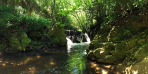 El Parc Natural de Montseny i Aigua Viladrau signen un acord per fomentar la sostenibilitat dels recursos hidrològics del massís